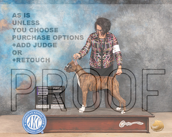 Boxer #8 Fri RWB Judge Joan Liebes-MMJ_3021-Addison2022-HR3