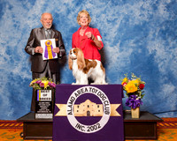 Cavalier King Charles Spaniel #20 Sun BOB Herrington Jan Judge Dr Roger S Pritchard