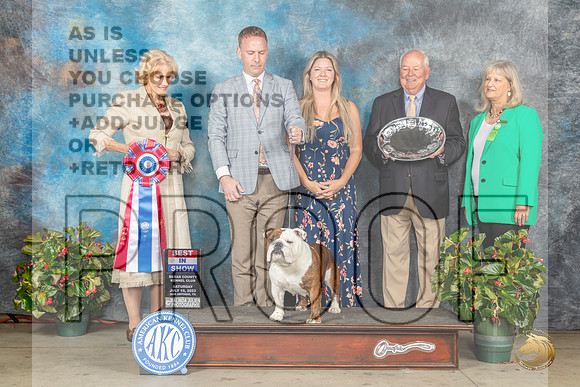 Bulldog #6 Sat BIS Judge Patti Widick NealeMJP_9510_SA2023_HR3