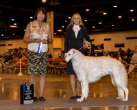 Borzoi #11 Sun BOW Maj Hepler Anastasia judge Ms Helene Nietsch