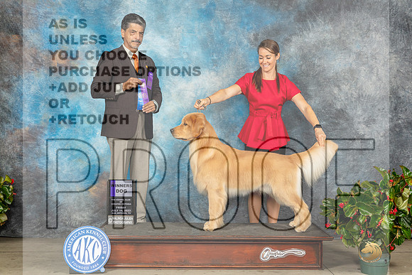 Golden Retriever #37 Fri WD Dr Antonio Molina-MJP_7947e_SA2023-HR3