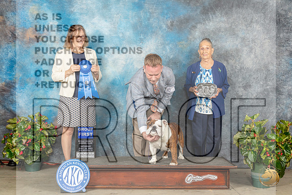 Bulldog #6 Sat G1 Judge Grace FritzMJP_9226_SA2023_HR3