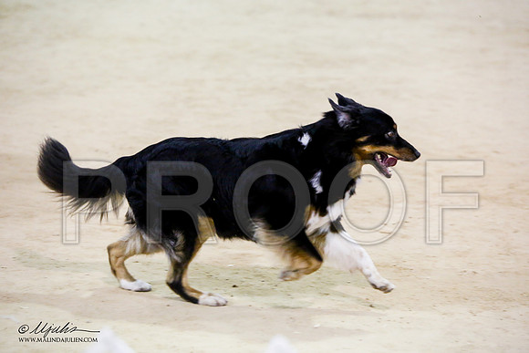 _JN_7602-ASCACollegeStationNov2014-HR3