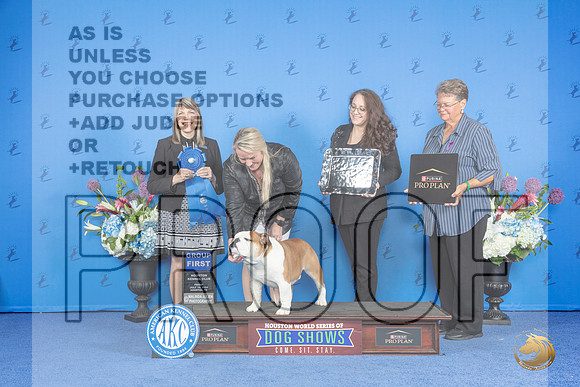Bulldog #19 FRI G1 Judge Angela Pickett__JP_9544_Houston_2024_HR3