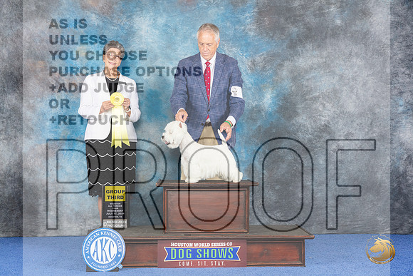 Westhighland White Terrier #5 WED G3 Judge Christine Erickson__JP_7007_Houston_2024_HR3