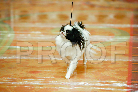 _JJ_8559-SanMarcosAug2016-HR3