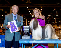 Lhasa Apso #21 Fri WD NC Drake Beverly Agent Lois DeMers Judge Mr Robert Stein