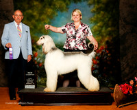 Afghan Hound #11 Sat NC Hughes Linda Agent Brooke Young Judge Joe Walton