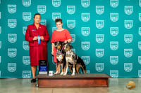LCLD #110 #115 Brace Judge Valerie Piltz