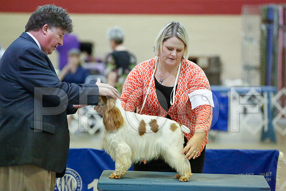 _JN_9552-AmarilloSept2014-HR3