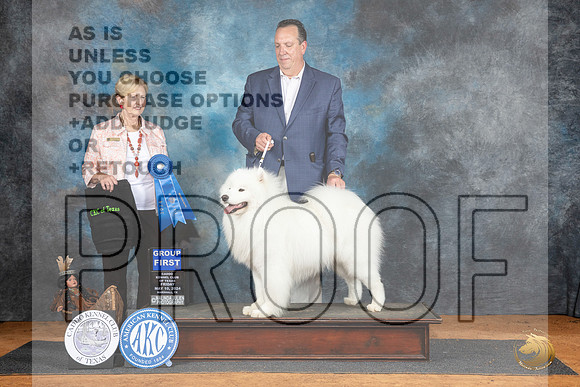 Samoyed #5 Fri G1 Judge Karen Hynnek__JP_7264_MARSHALL_2024_HR3