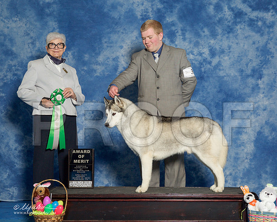 _R1_8304-HuskySltyMar2016-HR3