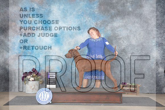 Redbone Coonhound #7 Sat WD Judge Eric Liebes__JP_7026_Belton_2024_HR3