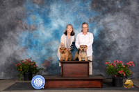 Norfolk Terrier Sat Brothers