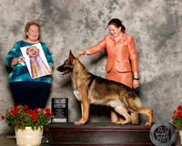 German Shepherd Dog #23 Sun BISS Schneider Nancy Judge Carol Smith
