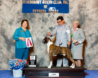 Boxer #11 Wed Maj BOS Gonzalez Miguel and Megan Byers Judge Keke Kahn