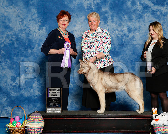 _R1_8216-2-HuskySltyMar2016-HR3