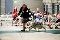Best in Show Alt Sat S1 Ring