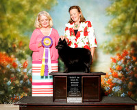 Schipperke Sat S2 BIS Maggie Pryor