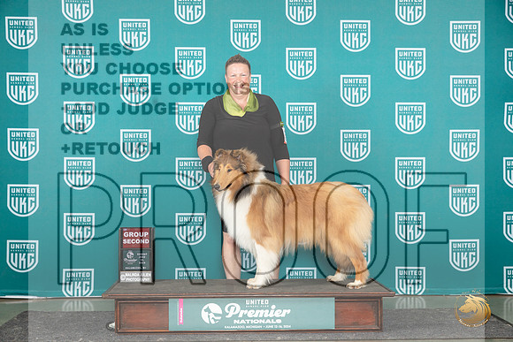 Rough Collie #402 Sun G2 Judge Carianna Glenn__JP_3381_Premier_2024_HR3