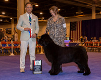 Newfoundland #12 Sun BOS Maj Rader Laura Judge Mr David W Haddock