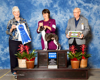 Italian Greyhound #5 fri G1 Frennier Kimberly and Randall Judge Anne Katona