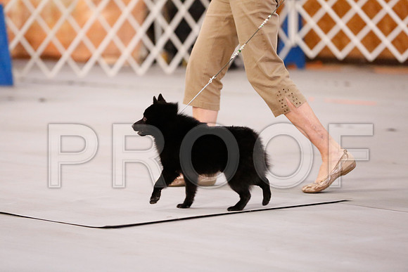 _RH_7470-CarlrolltonSept2014-HR3