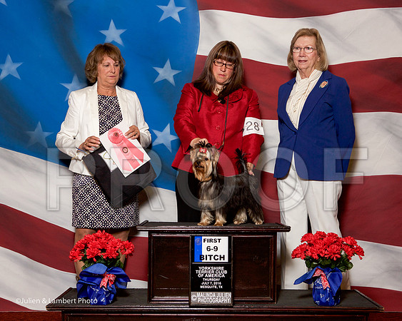 _ST_6165-YorkieNatJul2016-HR