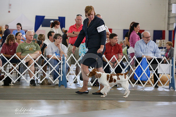 _JJ_1440-DallasJul2014-HR3