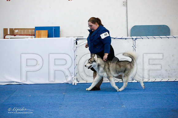 _JJ_0186-HuskySltyMar2016-HR3