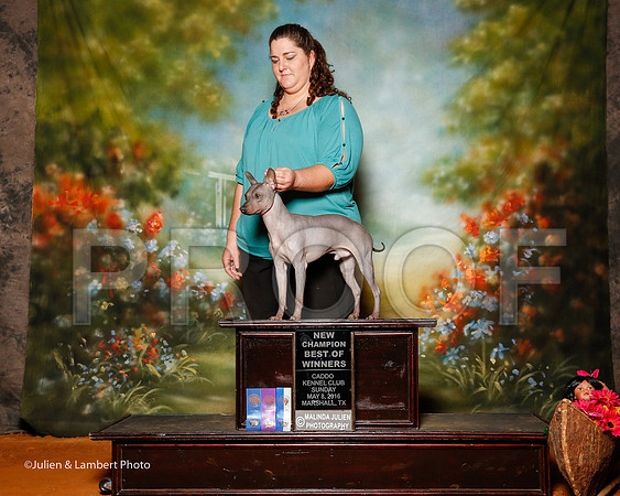 _ST_4316-2-MrshllMay2016-HR3