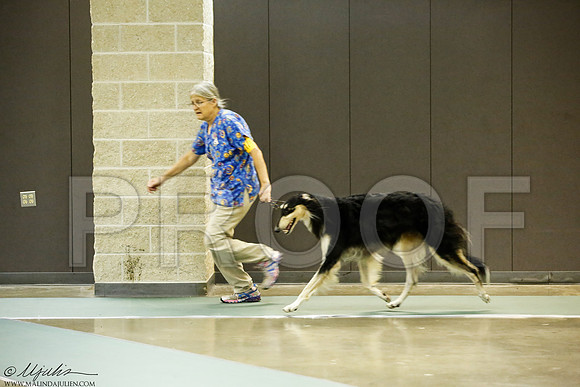 _J3L8884-BeltSep2014-HR
