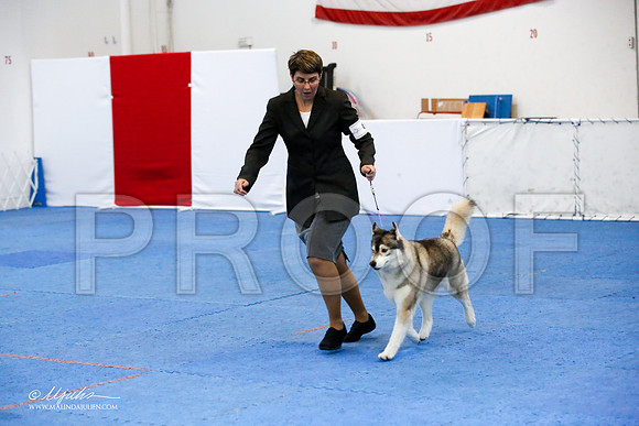 _JJ_0199-HuskySltyMar2016-HR3