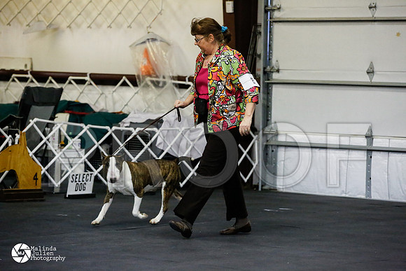 _J1_1738-2-AzleMar14-HR
