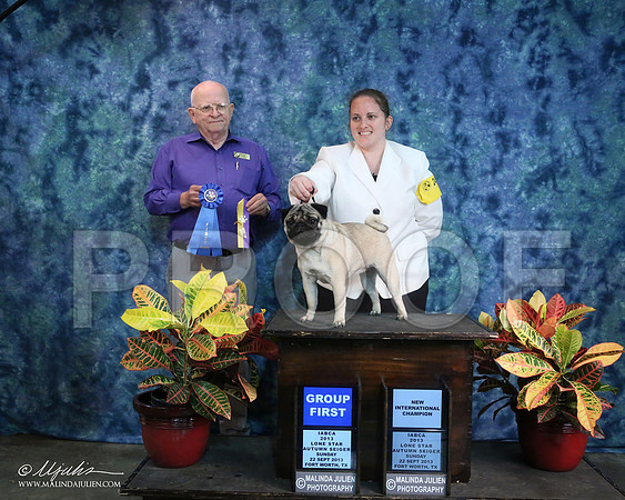 Pug-2071-IABCAFWSPT13-HR