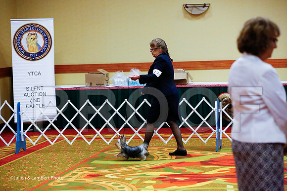 _JJ_6527-YorkieNatJul2016-HR