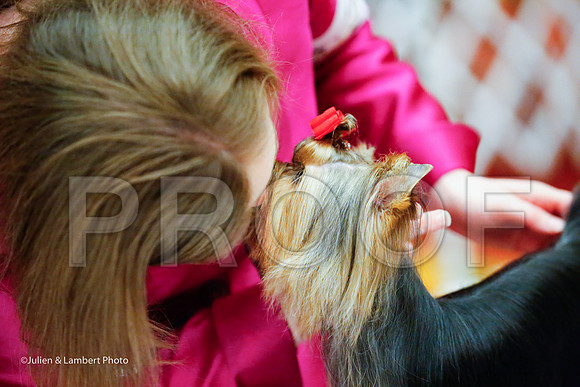 _JJ_8555-YorkieNatJul2016-HR