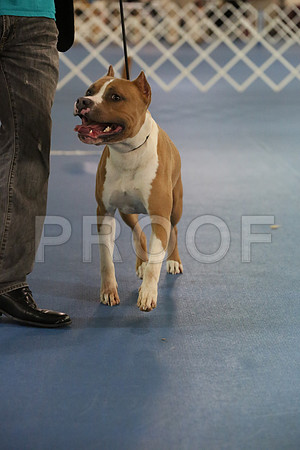 APBT-9947-HR
