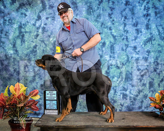 rott-1177-IABCAFWSpt13-HR