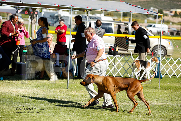_JN_1502-AlamogordoOct2014-HR3