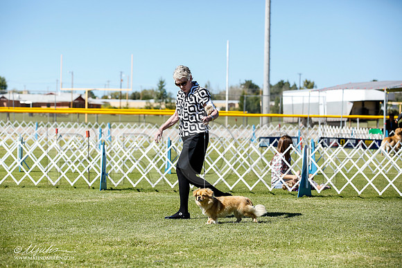 _JN_9276-AlamogordoOct2014-HR3