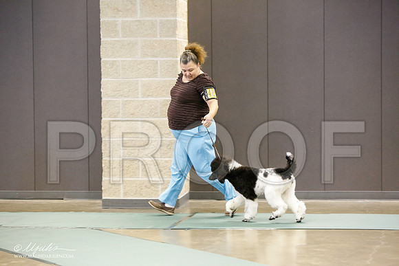 _LH_2854-BeltonJan2015-HR3
