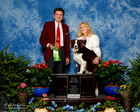 Border Collie #R64 Sat NT FieldMiller Jeanne Judge Christopher Cornell