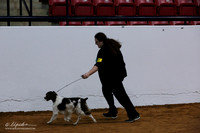 Brittany Sat Ring IABCA FW Sep 2013