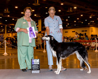 Borzois #42 Thrs WB Van De Water Susan Judge Ms Nikki Riggsbee
