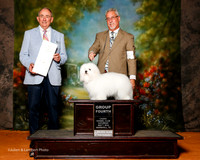 Coton De Tulear #6 Sat G4 Freeman Tracy and Rickey Freeman Judge Brian Meyer