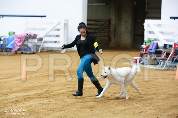Akita-5434-IABCAFWSPT13-HR