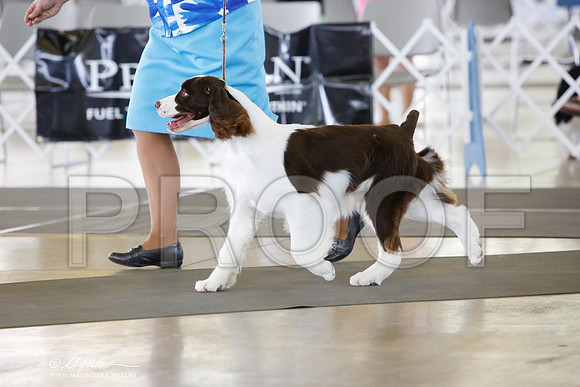 _JN_0307-DallasJul2014-HR3