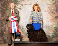 Pulik #5 Sun BIS Charles E J Beaudoin and L Pitts and P Kelly and S Huebner Agent Linda Pitts Judge Roger Hartinger