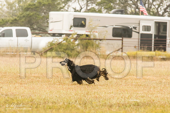 _MJ_2903-AfgBeltonOct2014-HR3
